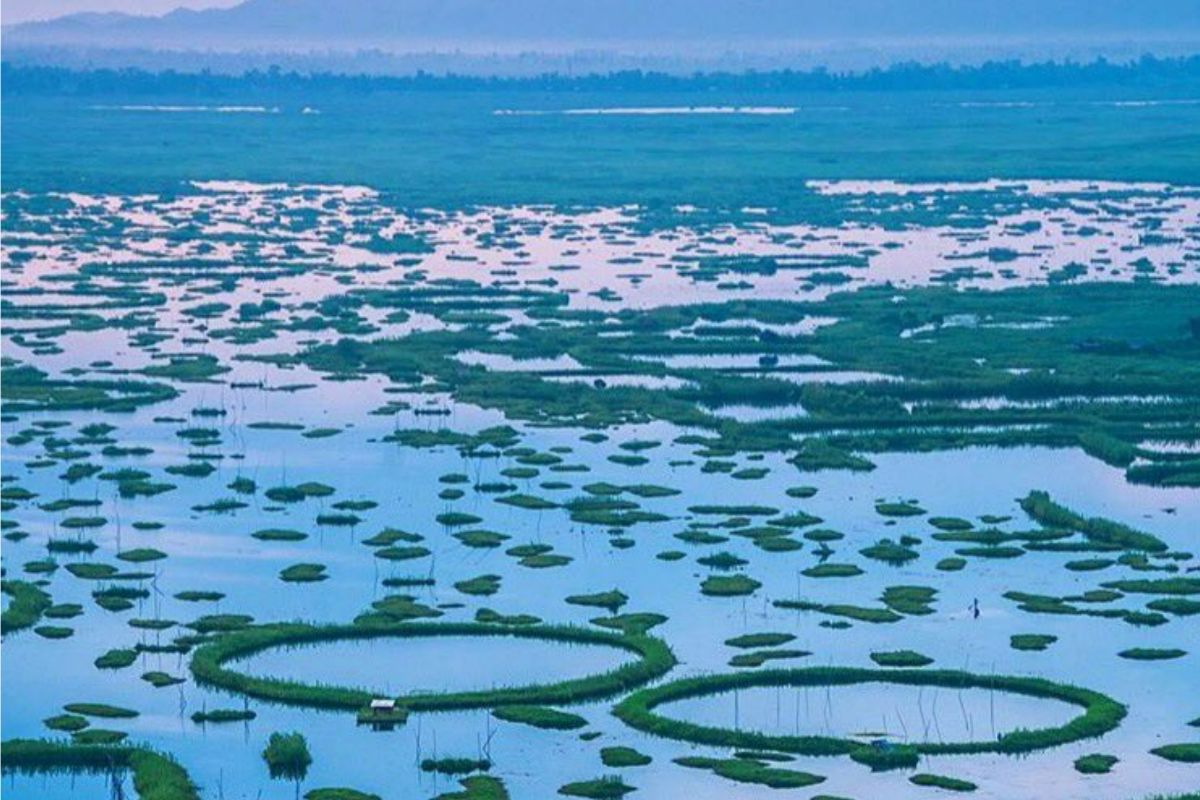 A serene view of Loktak Lake with floating phumdis and lush green hills in the background