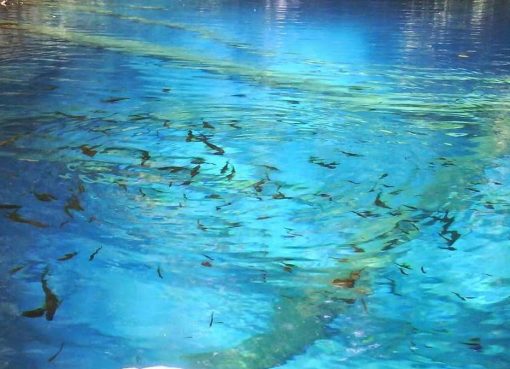 Danau Kaco yang Memesona: Airnya yang jernih dan biru cerah menciptakan refleksi sempurna dari langit dan pepohonan sekitarnya, menjadikannya pemandangan yang tak terlupakan