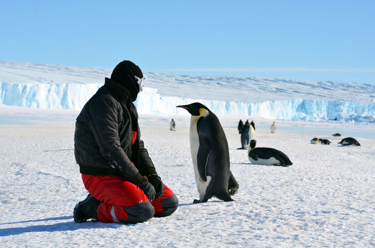 Antarctica: Absolutely Stunning Frozen Wilderness