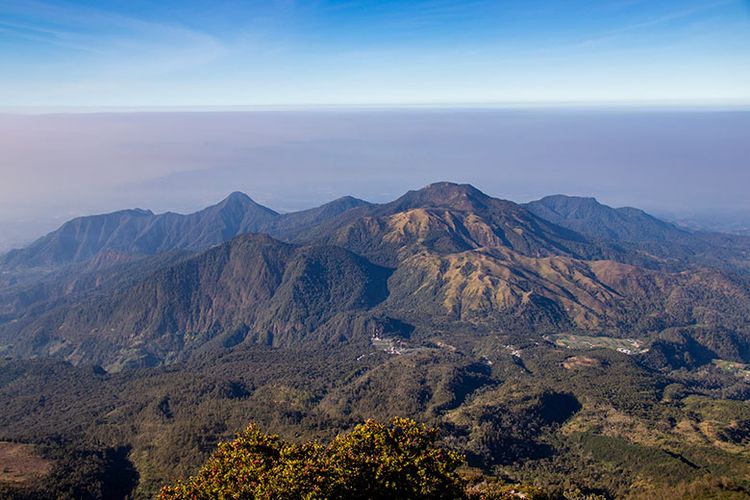 Gunung Lawu: Keindahan, Legenda, dan Petualangan di Ketinggian
