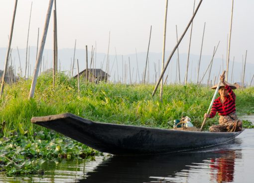 Inle Floating Gardens with lush vegetable beds floating on the lake.