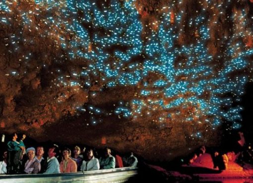 Gua Waitomo: Keindahan Tersembunyi di Selandia Baru Gua Waitomo: Keindahan Tersembunyi yang Wajib Dikunjungi