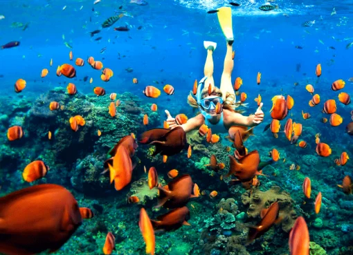 Pulau Rubiah: Surga Tersembunyi di Aceh yang Wajib Kamu Kunjungi Pulau Rubiah