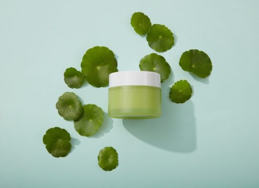 Centella Asiatica: Rahasia Alami yang Bikin Kulitku Jadi Sehat dan Cerah Centella Asiatica