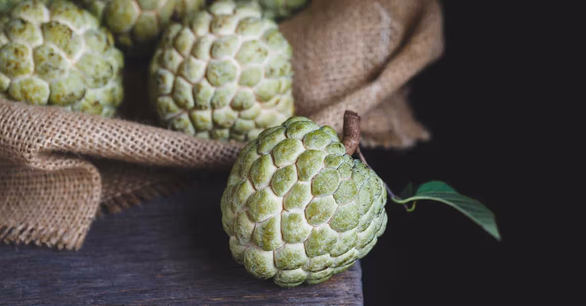 Buah Cherimoya