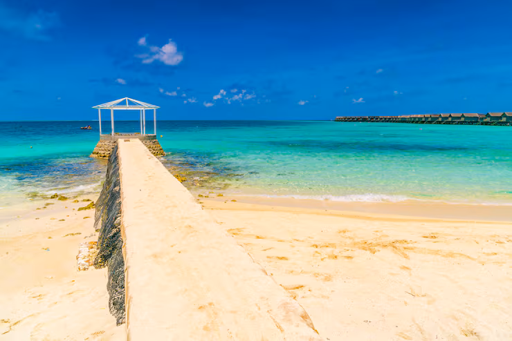 Pengalaman Wisata yang Berbeda