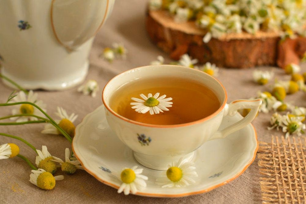 meracik Teh Chamomile