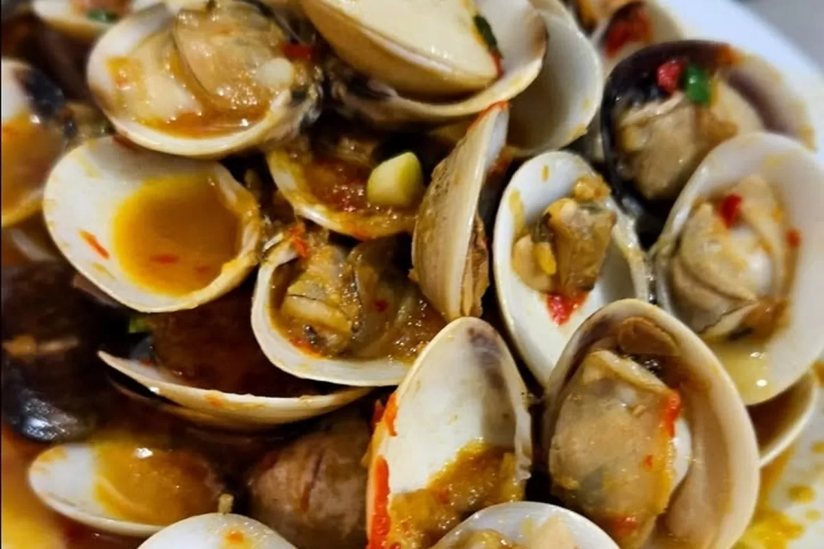 Kerang Lokal yang Kaya Rasa