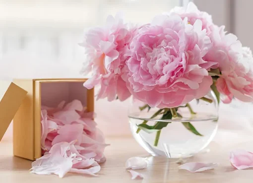 Bunga peony