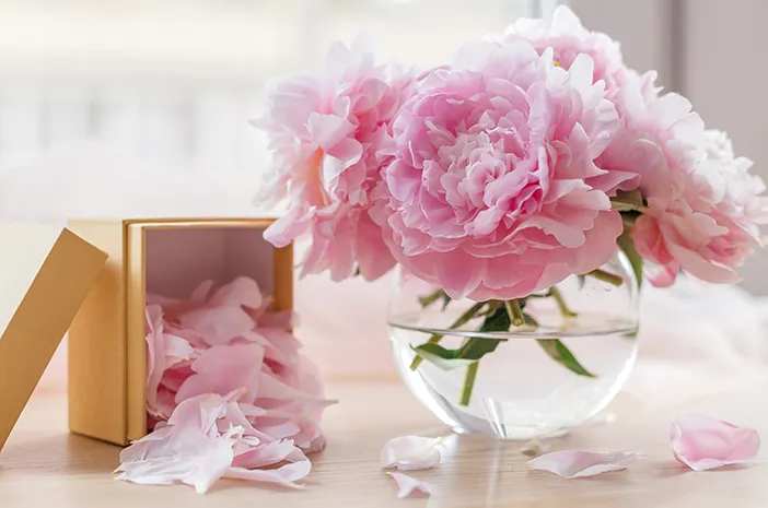 Bunga peony
