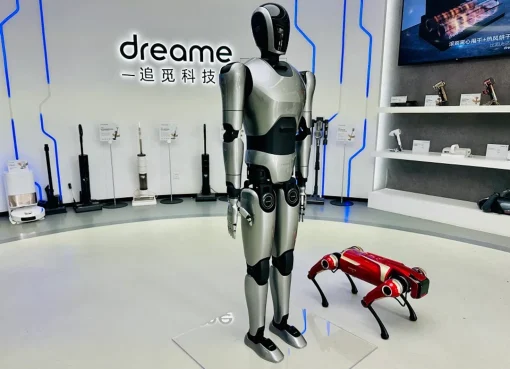 Robot Humanoid China