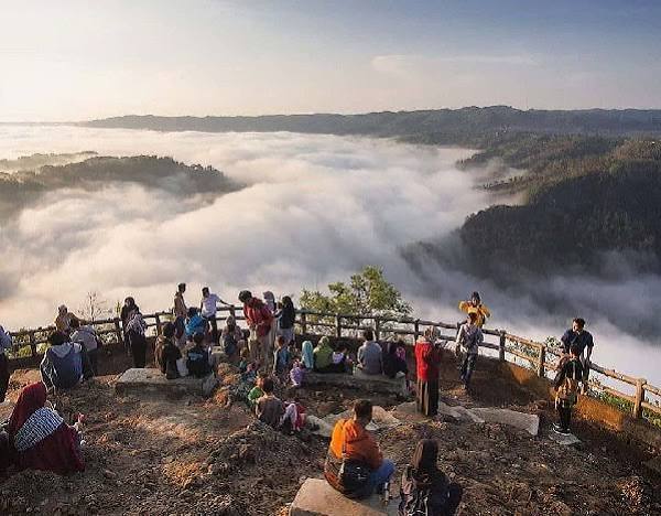 Kebun Buah Mangunan, Pesona Negeri Atas Awan yang Menghidupkan Rasa Kagum